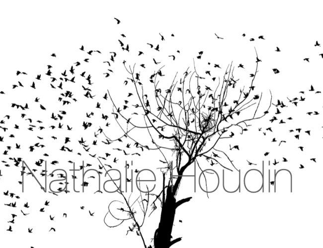Screenshot-2024-01-04-at-22.08.46-e1704411106201.png